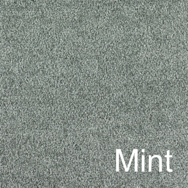 pt-max-mint-farbe