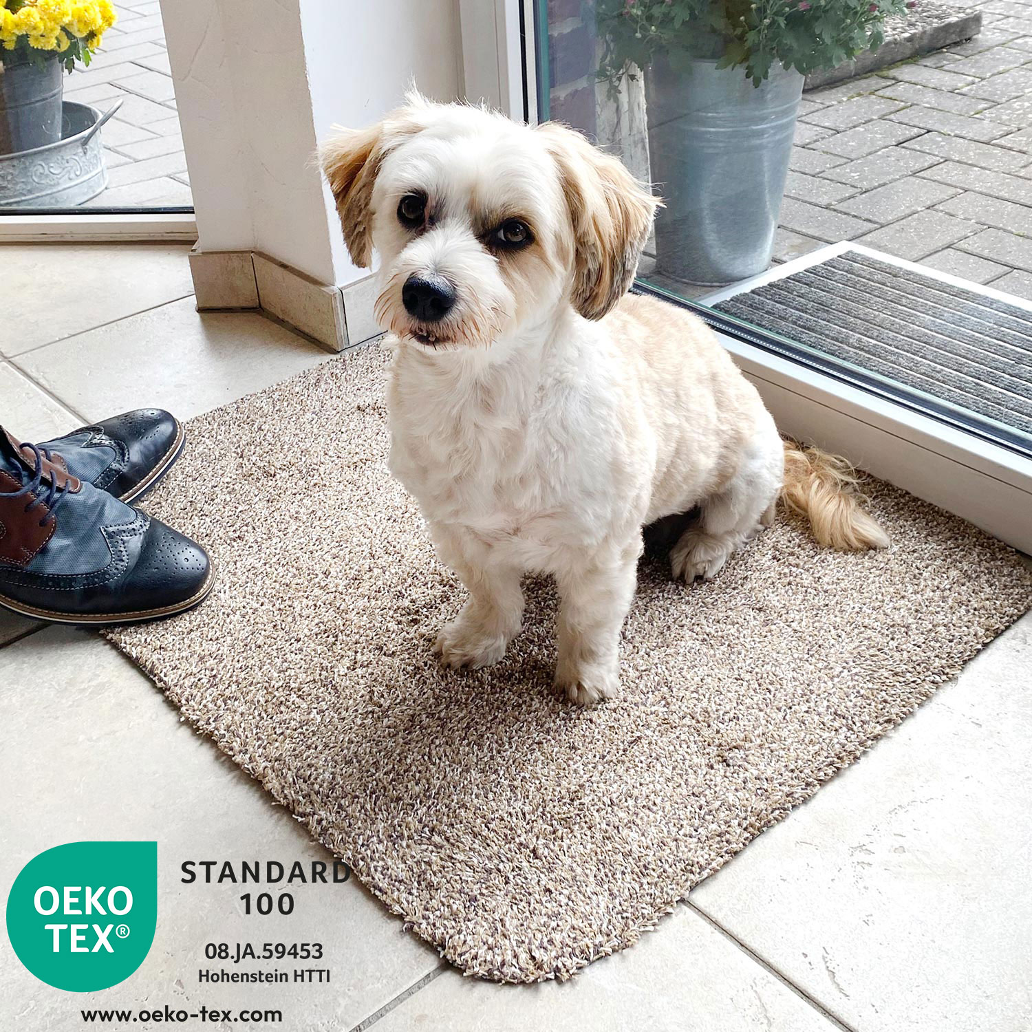 schmutzfangmatte-cotton-clean-oeko-tex schmutzfangmatte-cotton-clean-oeko-tex